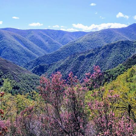 Casa Ponce Otel Posada de Rengos Dış mekan fotoğraf